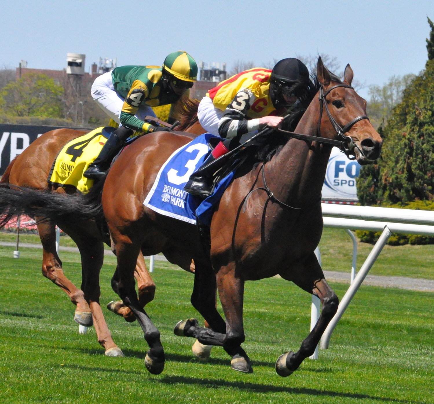 Racing returns to Belmont Park Herald Community Newspapers www